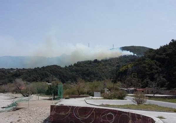 Σάμος: Στάχτη 290 στρέμματα δασικής έκτασης